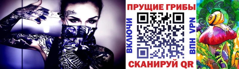 Галлюциногенные грибы Cubensis  Ливны 